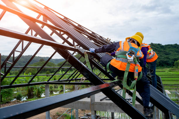 Best Roof Gutter Cleaning  in Cle Elum, WA
